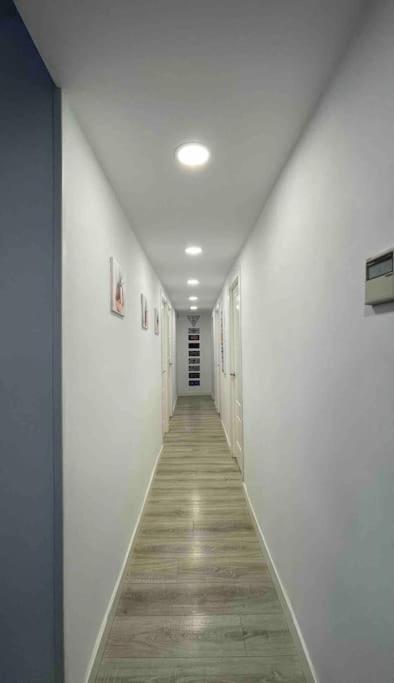 Encantador Apartamento Plaza Mayor Madrid Centro Dış mekan fotoğraf