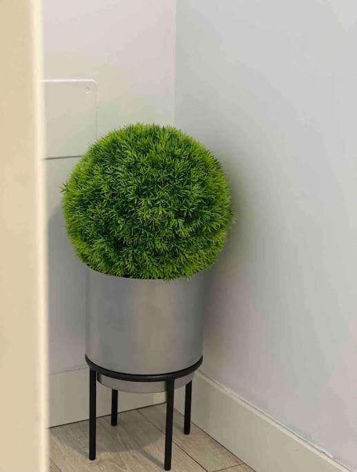 Encantador Apartamento Plaza Mayor Madrid Centro Dış mekan fotoğraf